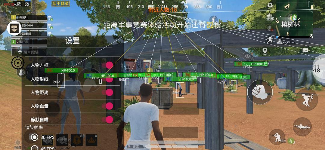 和平精英辅助【EAP+雷神】