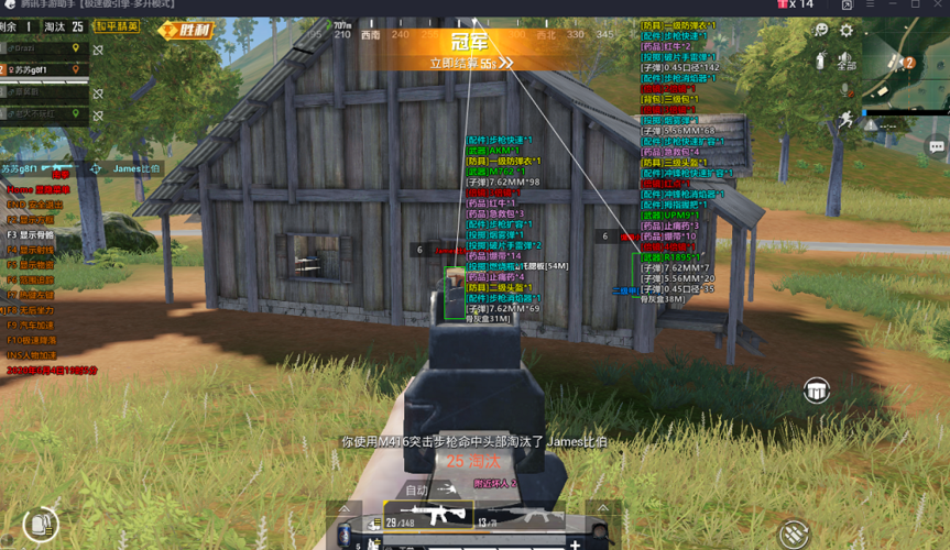 和平精英【EAD内部】辅助